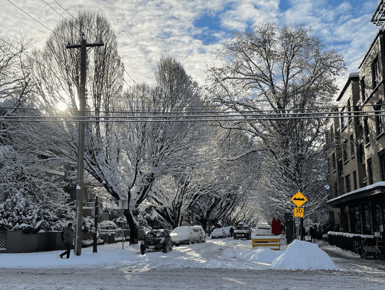 Unique Places to visit in Vancouver in winter 2023